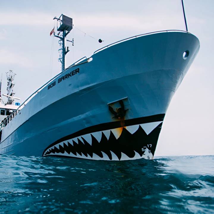 Sea Shepherd - Protecting Marine Wildlife Worldwide